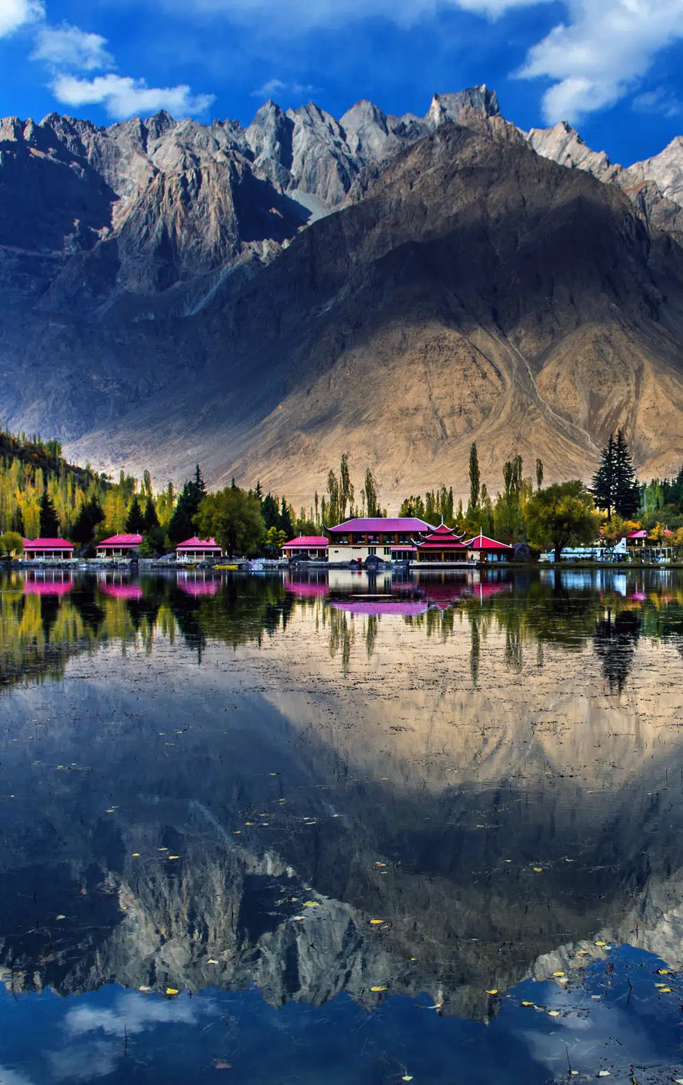 England cricket tour of Pakistan 2022